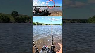 An Otter Swam By… Then My Rod Got Slammed!