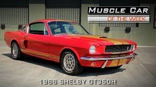 1966 Shelby GT350H Muscle Car Of The Week Video Episode #134