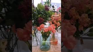 Spring Walk in an Amsterdam Flower Shop  | Beautiful Blooms & Tulips