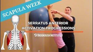 Serratus Anterior Activation Exercise Progressions