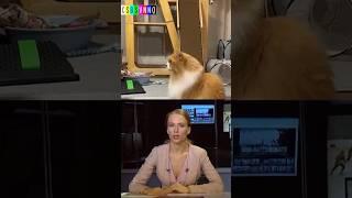 Тестируют новое средство борьбы с беспилотниками #новости #юмор #csbsvnnq