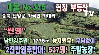 싼땅 남한간주변 주말농장 1775㎡  537평 2천만원후반대 소백산주변 힐링 캠프 농지원부 만들기 추천 매물 남향 양지 땅 농사 잘돼요 충북 단양군 가곡면 가대리 토지 가곡부동산