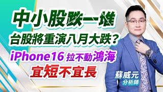 蘇威元分析師【中小股跌一堆 台股將重演八月大跌？iPhone16拉不動鴻海  宜短不宜長】 2024.09.10 #蘇威元 #飆股元動力