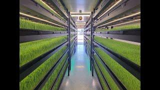 Growing Fodder in an Indoor Hydroponic Farm