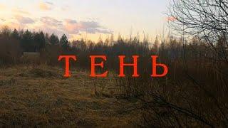 Влад Бахов. Тень. Тайна ?
