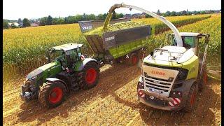 Mais 2020 / LU Steyns / Großeinsatz Fendt 942 / Claas Jaguar 980 / Biogas / Bergmann / Häckseln XXL