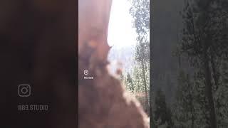 Sequoias short film - California