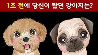 1초 만에 답을 찾아야 하는 순간기억력 두뇌퍼즐게임. 치매예방.