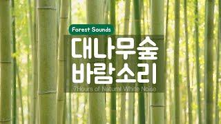 ASMR 편안하고 시원한 대나무숲 바람소리 BAMBOO FOREST SOUNDS 백색소음