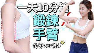 10 MIN SLIM ARMS WORKOUT｜10分鐘瘦手臂手臂訓練運動 消除掰掰肉 蝴蝶袖 改善副乳【Bellysu減肥中】