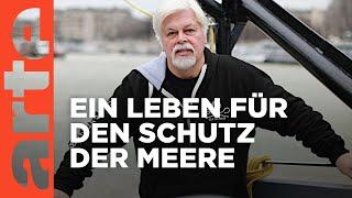 Paul Watson - Schützer der Meere | Doku HD | ARTE