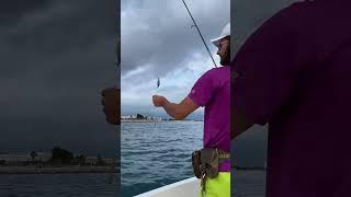 Вау. Рыбалка в Сочи. #рыболовныйгид #fishing #fish #море #сочиморе #ocean #рыбалка #рыба #shark