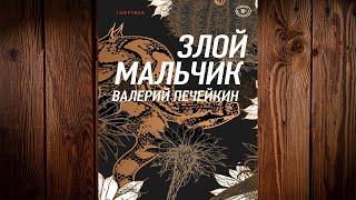 Злой мальчик  (Валерий Печейкин) Аудиокнига