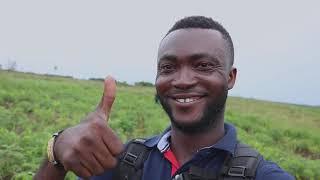Farming in Congo Kinshasa 2021! Harvesting Pondu (Cassava Leaves)