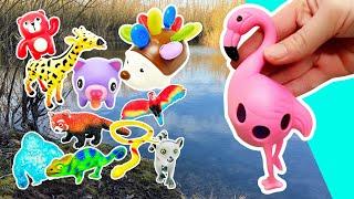 Learn Animal Names & Fun Facts at the Pond for Babies Toddlers Kids: Pig Frog Bear Lemur Alligator