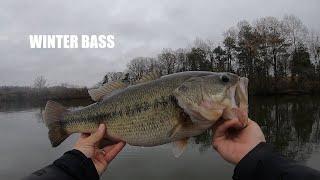 Lake Anna Big Bass Caught While Striper Fishing