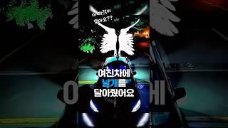 차에 날개를 달면 생기는일 #차량꿀템 #꿀템