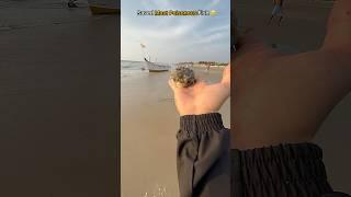 Rescue Mission: Saved world’s most Poisonous fish from shore 