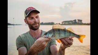 VISblad TV - roofvissen met spinnerbaits