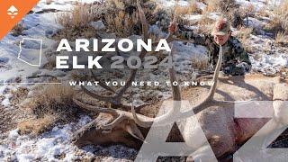 How to Hunt Elk & Antelope in Arizona | Everything You Need to Know