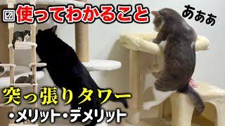 使ってみてわかった突っ張りキャットタワーのメリットとデメリット