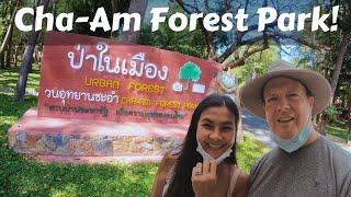EXPLORING CHA-AM FOREST PARK, Thailand & Shopping for Thai Desserts!