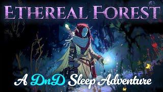  Cosy DnD Podcast for Sleep  Campaign 1 Ep 3: The Kingdom Sleeps #dnd #ambience #chill