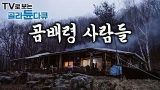 대한민국의 히말라야, 오지중의 오지 ‘곰배령’ 사람들의 겨울나기 모아보기｜한국기행｜#골라듄다큐