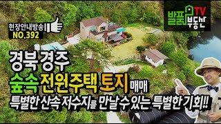 (주목) 경북 경주 숲속 작은 저수지 전원주택 매매 주거와 낚시 힐링과 기타 용도로 가능 경주부동산 - 발품부동산TV