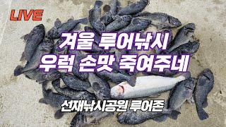 선재낚시공원 우럭 잘나올까 #제이에스컴퍼니 #가오피싱 #셉트합사