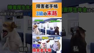 【猫ミーム】障害者手帳を取りに行く