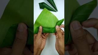 Ideas for food packaging using banana leaves #diy #bananaleaves #bananaleaf #ecofriendlyliving