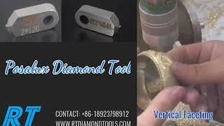 Posalux Diamond Tools + Horizontal Faceting + Vertical Faceting