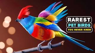 The Most Unique Bird Breeds You've Never Heard of | Rarest Pet Birds 2025