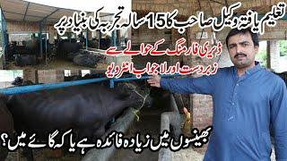 Babar Diary Farm in Sialkot | Special Diary Farming Tips in Urdu | How to Start Diary Farming Urdu