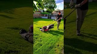 Lawn  | Kelowna | Charlie boi