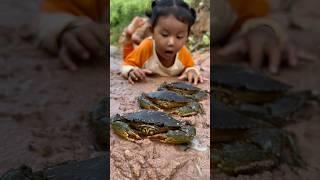 Survival Skills: Giant grabs catching skills #survival #camping #bushcraft #outdoors #crab