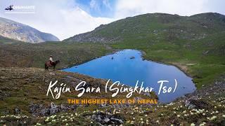 The HIGHEST LAKE of Nepal :  ̶T̶i̶l̶i̶c̶h̶o̶ KAJIN SARA (SINGKHAR TSO), Manang