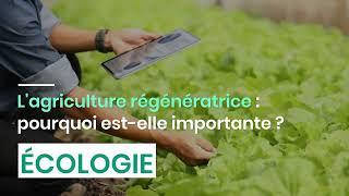 L'agriculture régénératrice : pourquoi est-elle importante ?