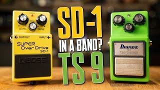 Boss Super Overdrive Or Ibanez Tube Screamer? [In Your Band]