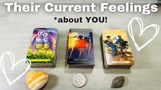 ️‍ How are they FEELING about YOU??!! DETAILED Pick A Card Love Tarot Reading  * Timeless