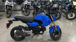 New 2025 Honda Grom Base Motorcycle For Sale In Lakeville, MN