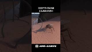 新型コロナウイルスはこんなに小さい