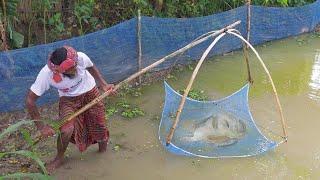 Unique Fish Trap Technique - Amazing Fish Trap Using Bamboo With Net - Amazing Fish Trap System