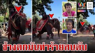 ระทึก! ช้างตกมันกลางขบวนแห่กฐิน ทำร้ายคนดับ | ทุบโต๊ะข่าว | 12/11/67