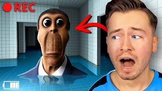 Spiele NIEMALS das OBUNGA SPIEL!! (HILFE)