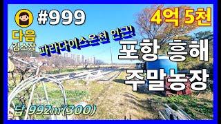 #999 포항 북구 흥해읍 주말농장 #다음공인중개사 #010-2622-8488 #파라다이스유황온천