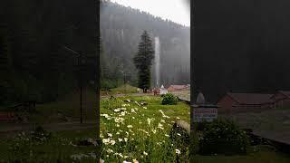 beautiful fountain of Barot valley , Himachal Pradesh #villagelife #fountain #himachal #barotvalley