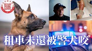 租車未還被報失，警察使用警犬逮捕司機。嚴重受傷狀告警察用武過度，要求警察局停止使用警犬。