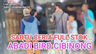 Update Full Stok Sabtu ceria 14/09/2024#AbadibirdCibinong